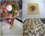 Chinese-DumplingsewWeb