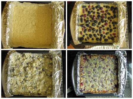 Blackberry bars 2
