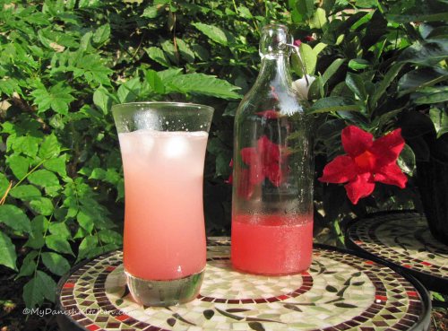 Rhubarb Juice